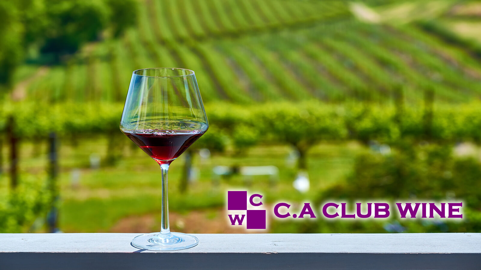 C.A Club Wine